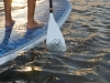 tillo-paddles-2
