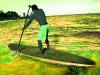 tillo-sup-board-5
